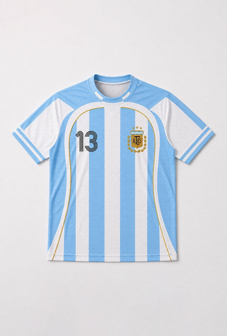 UNIT13 LA ALBICELESTE 🇦🇷 — Argentina 2010