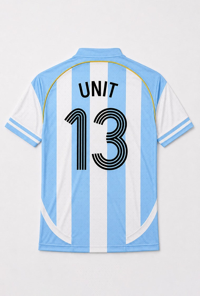 UNIT13 LA ALBICELESTE 🇦🇷 — Argentina 2010